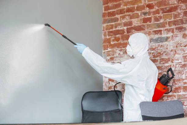 Mold Remediation for Vacation Homes in Cusseta, GA