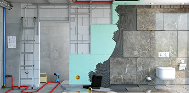 Best Basement Mold Removal  in Cusseta, GA