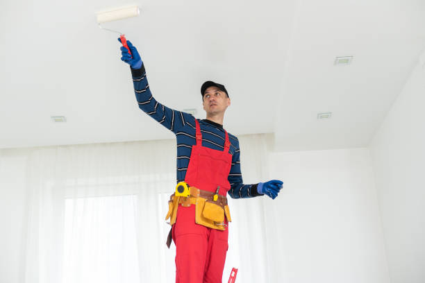 Best Commercial Mold Inspection  in Cusseta, GA
