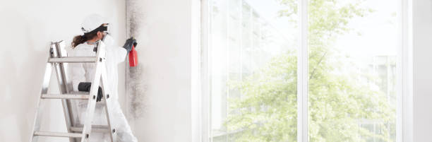 Best Emergency Mold Remediation  in Cusseta, GA