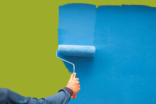 Best Mold Damage Restoration  in Cusseta, GA
